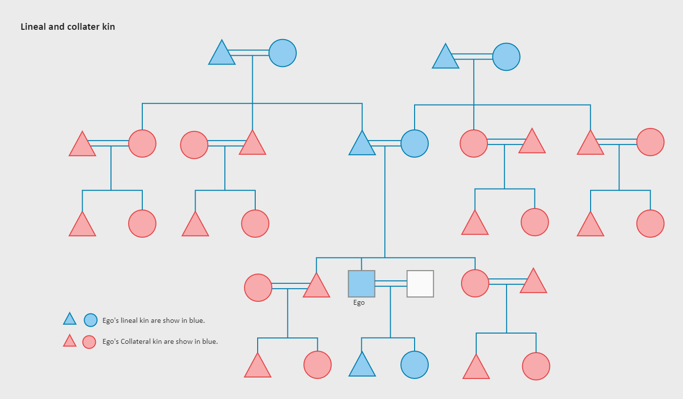 3 Generations Kinship Chart EdrawMax Template
