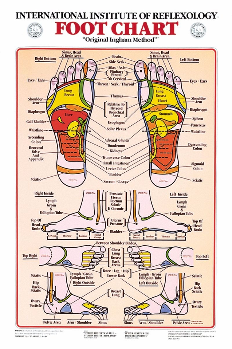 31 Printable Foot Reflexology Charts U0026 Maps TemplateLab