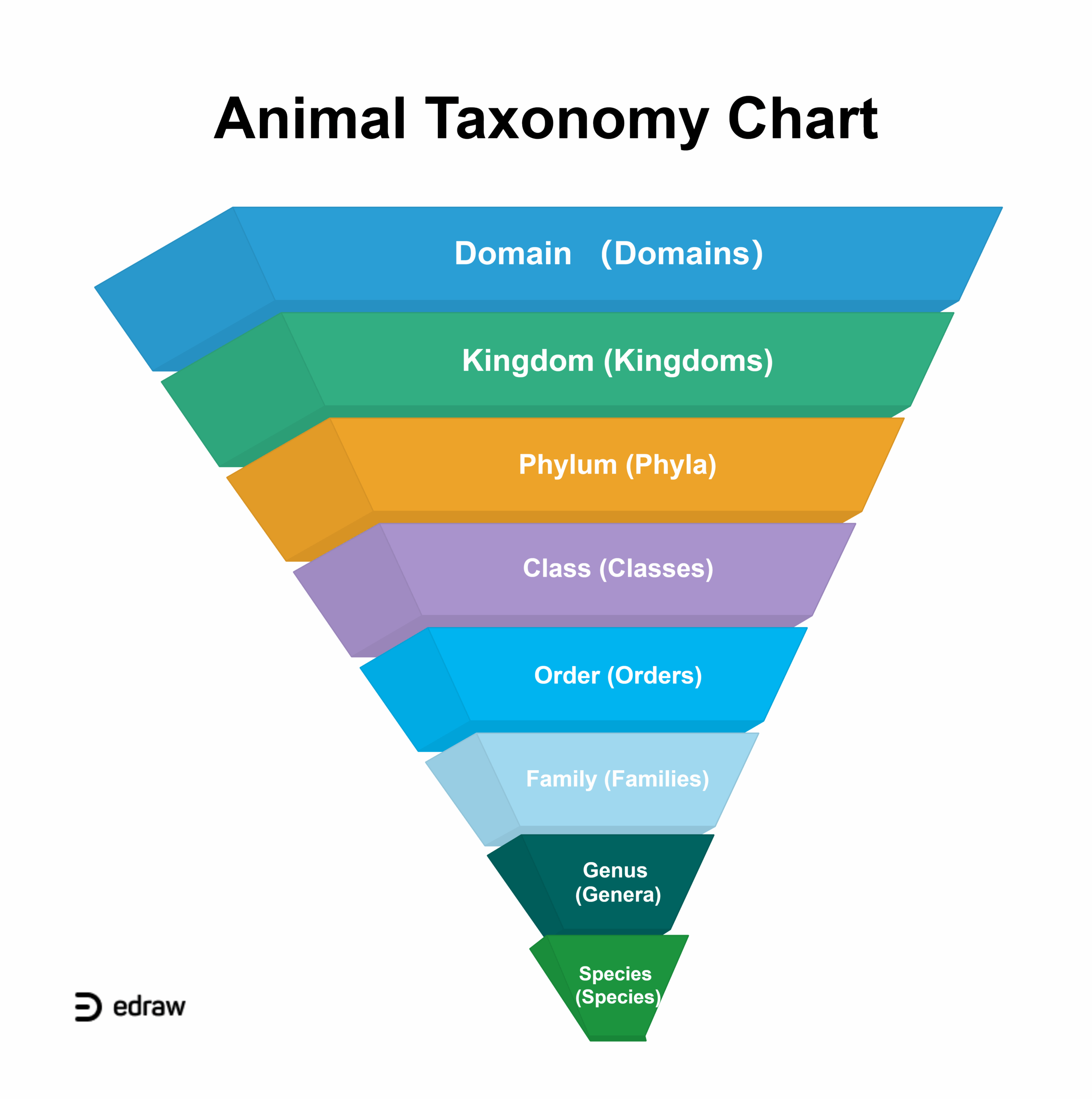 31 Taxonomy Chart U0026 Templates EdrawMax Editable 