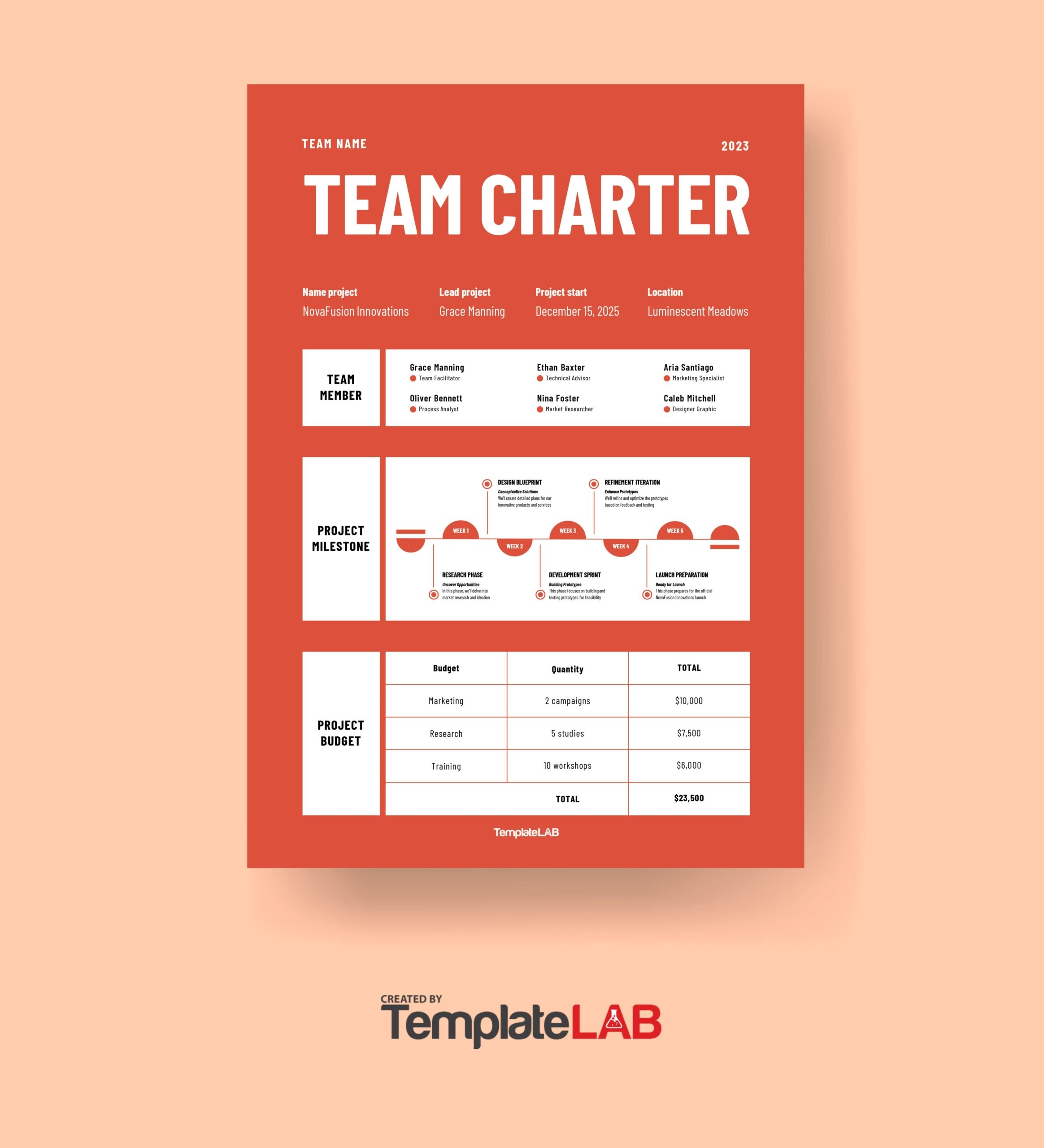 49 Useful Team Charter Templates u0026 Examples TemplateLab