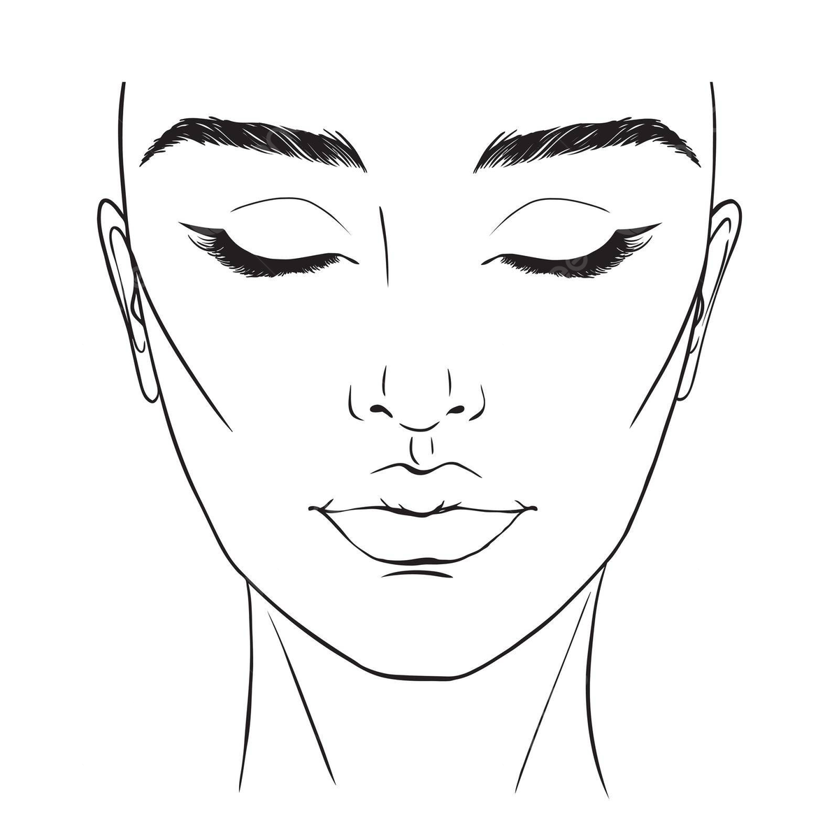 Blank Makeup Face Chart Template Featuring A Captivating Feminine Portrait Vector Model Contour Girl PNG And Vector With Transparent Background For Free Download