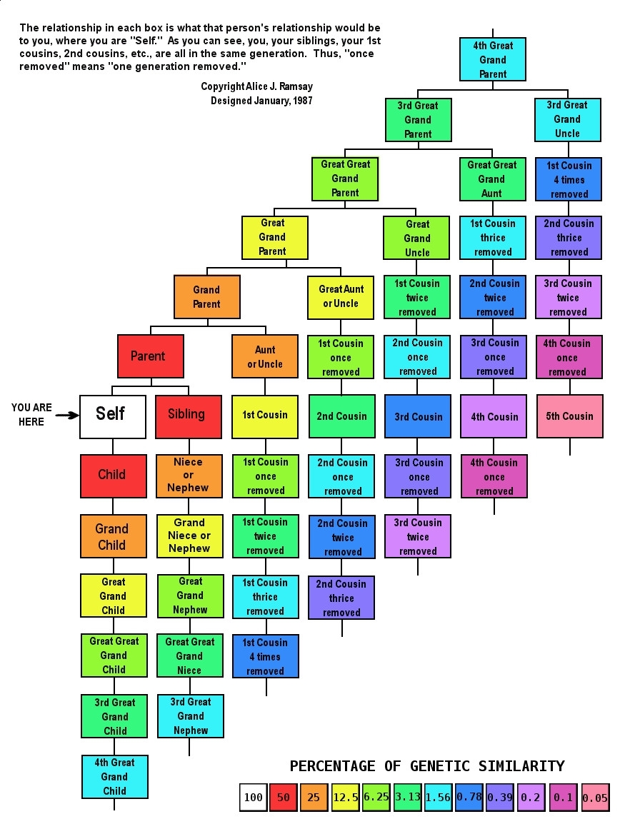Cousin Relationship Chart Digging For Ancestors