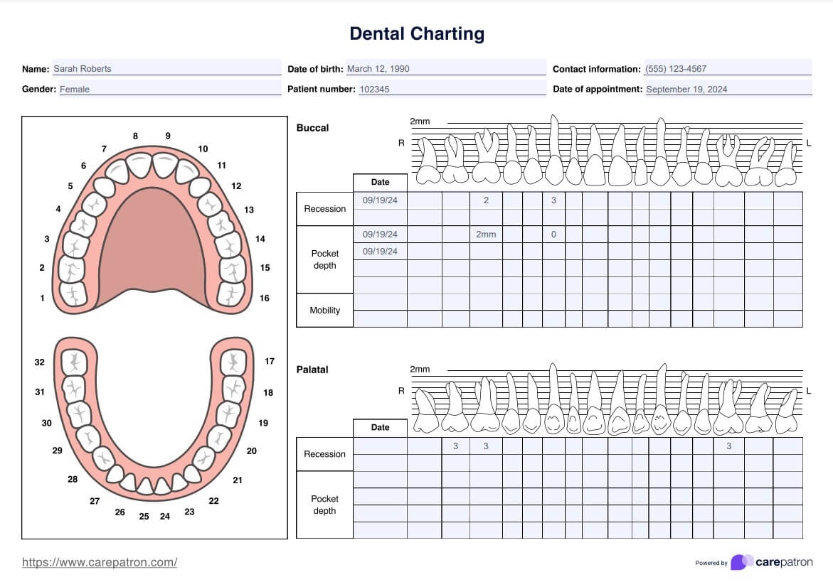 Dental Charting Template U0026 Example Free PDF Download
