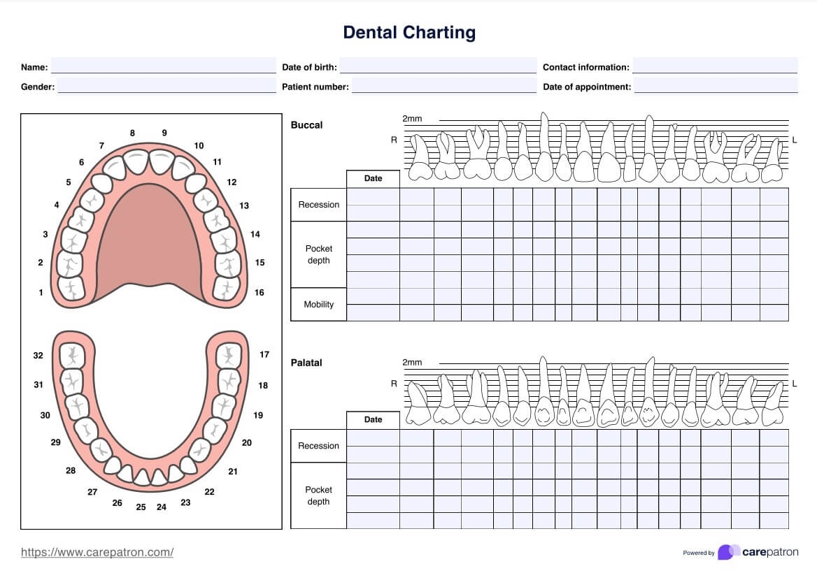 Periodontal Chart Template