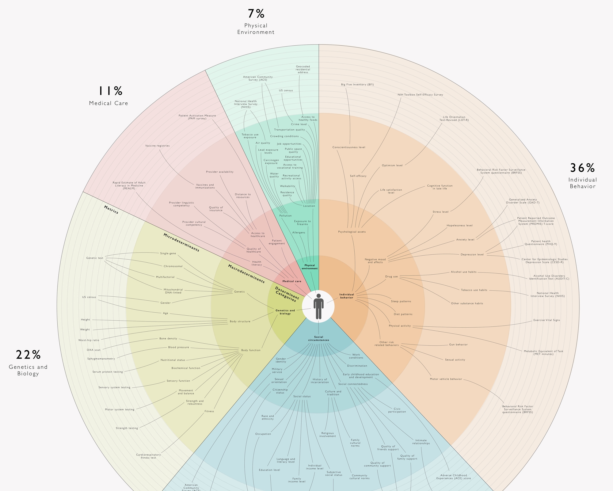 Determinants Of Health Visualized