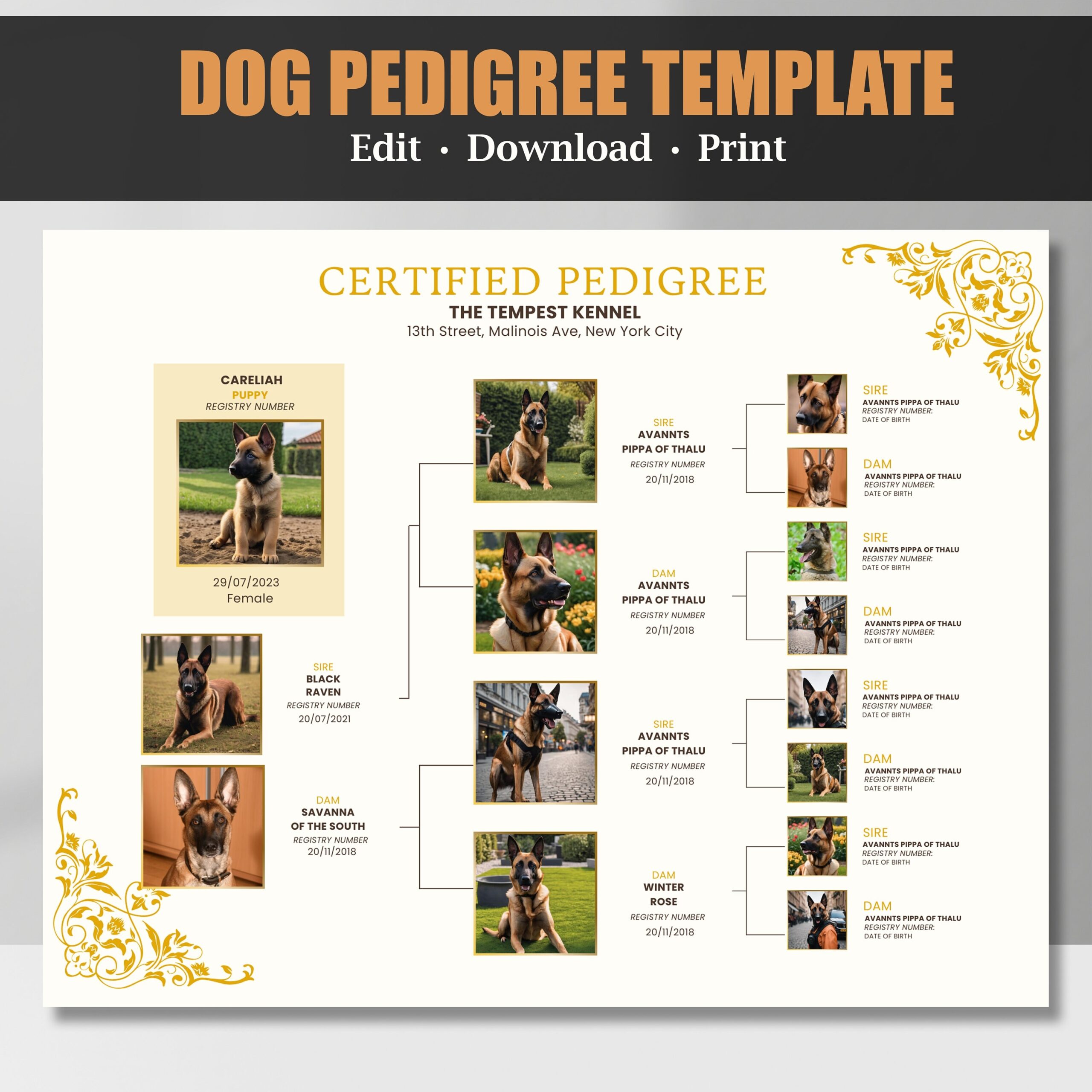 Free Printable Blank Dog Pedigree Chart