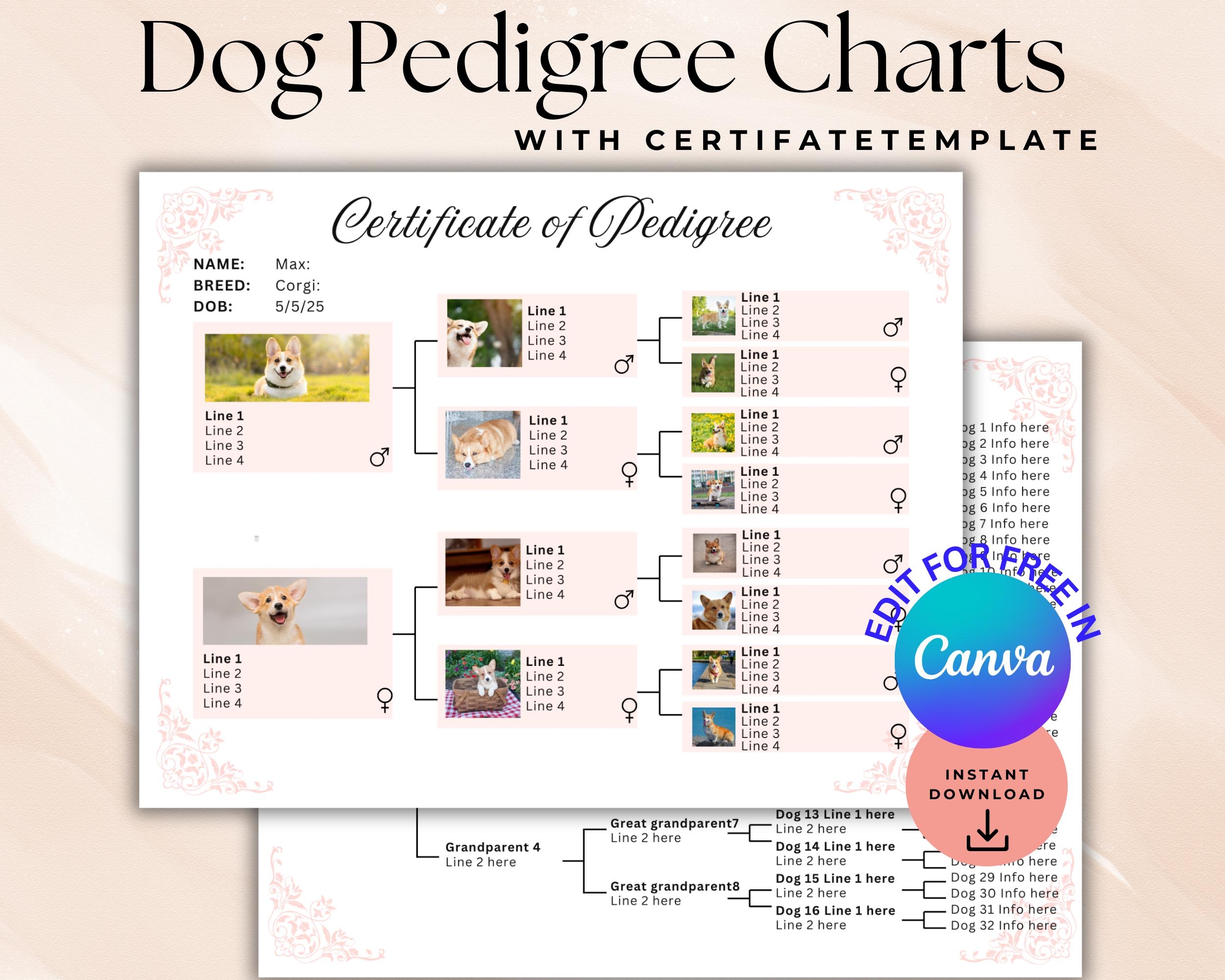 Dog Pedigree Template Etsy