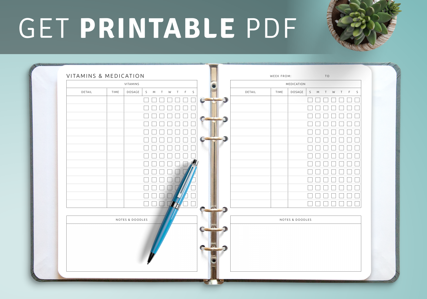 Download Printable Vitamins U0026 Medication Template PDF