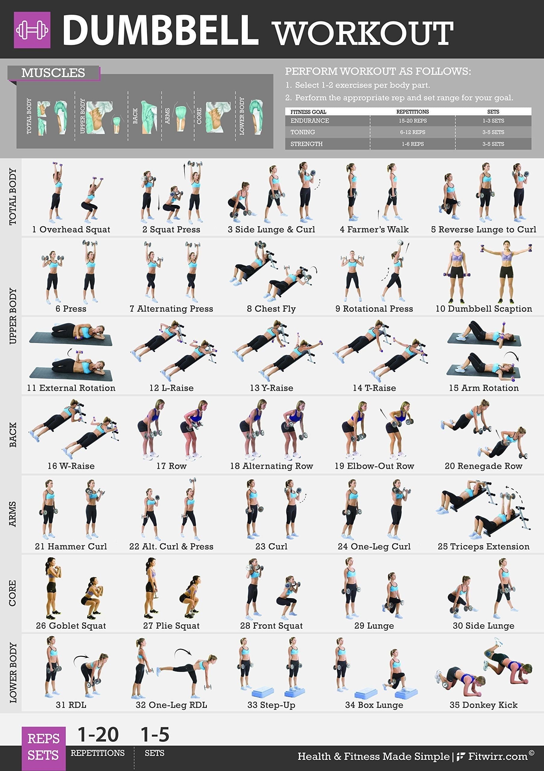 Dumbbell Exercise Chart Printable Free