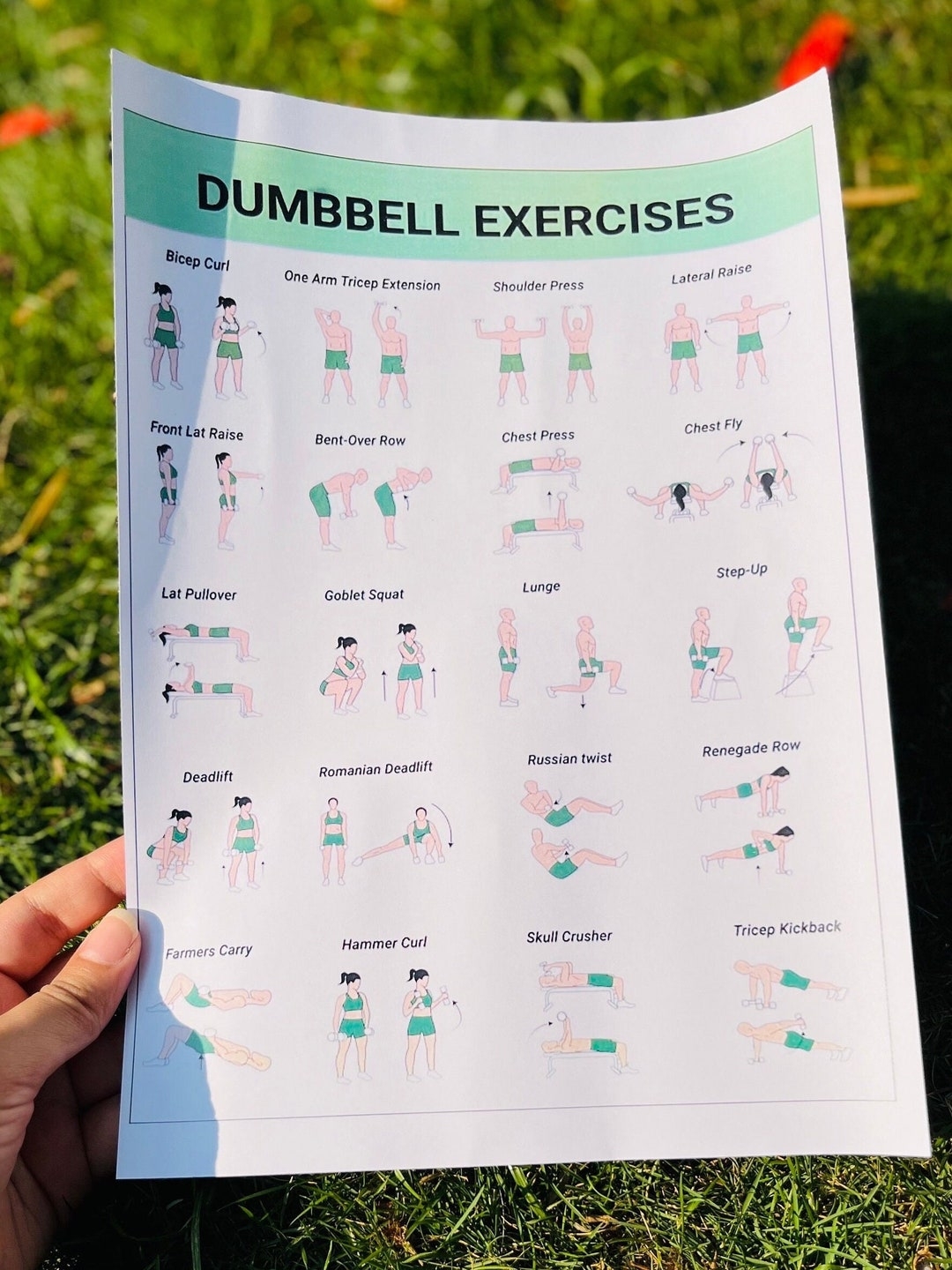Free Printable Dumbbell Exercise Chart