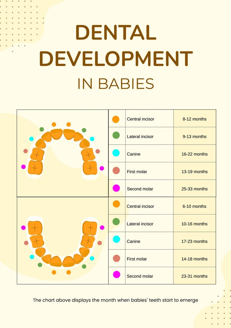 Dental Charting Template