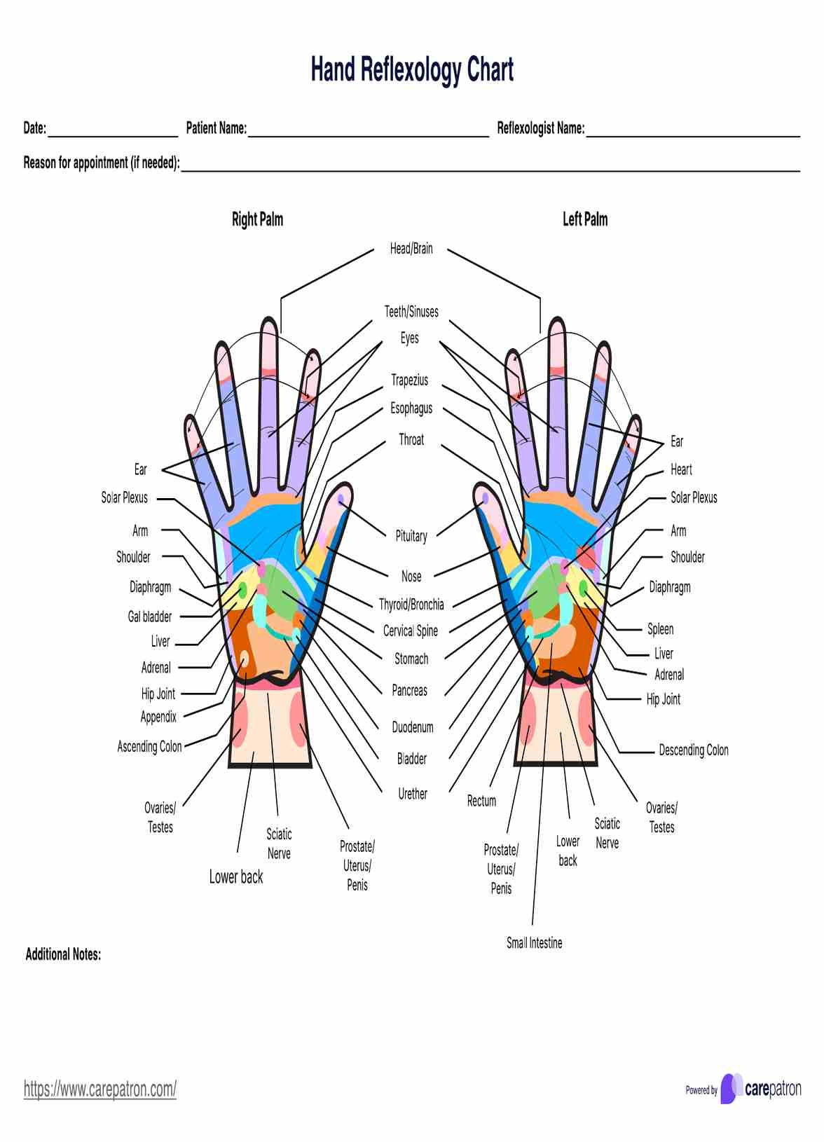 Hand Reflexology Chart U0026 Example Free PDF Download