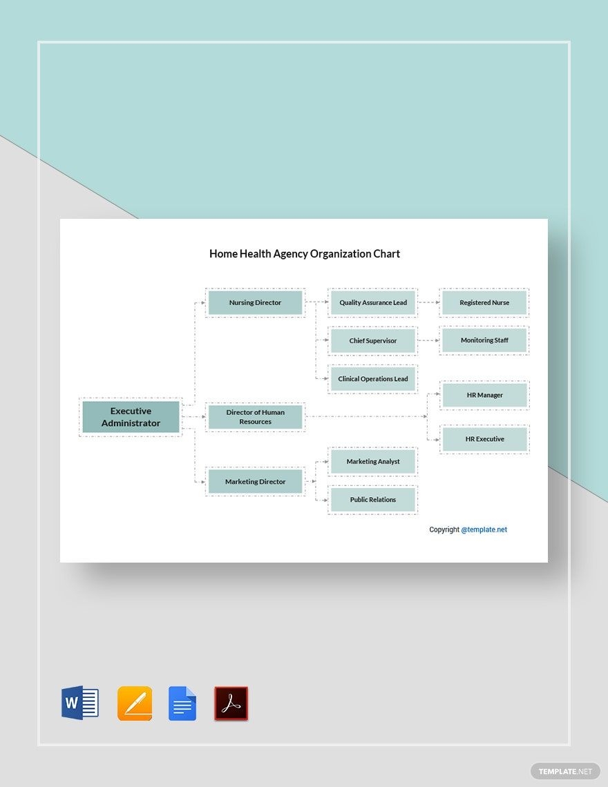 Home Care Agency Organization Chart Template In Word PDF Pages 