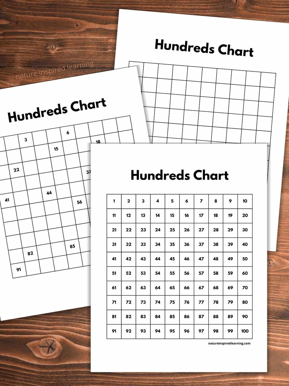 Free Printable Blank Hundreds Charts