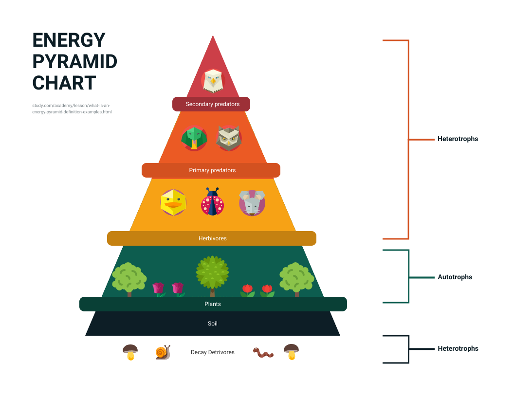 Pyramid Chart Template