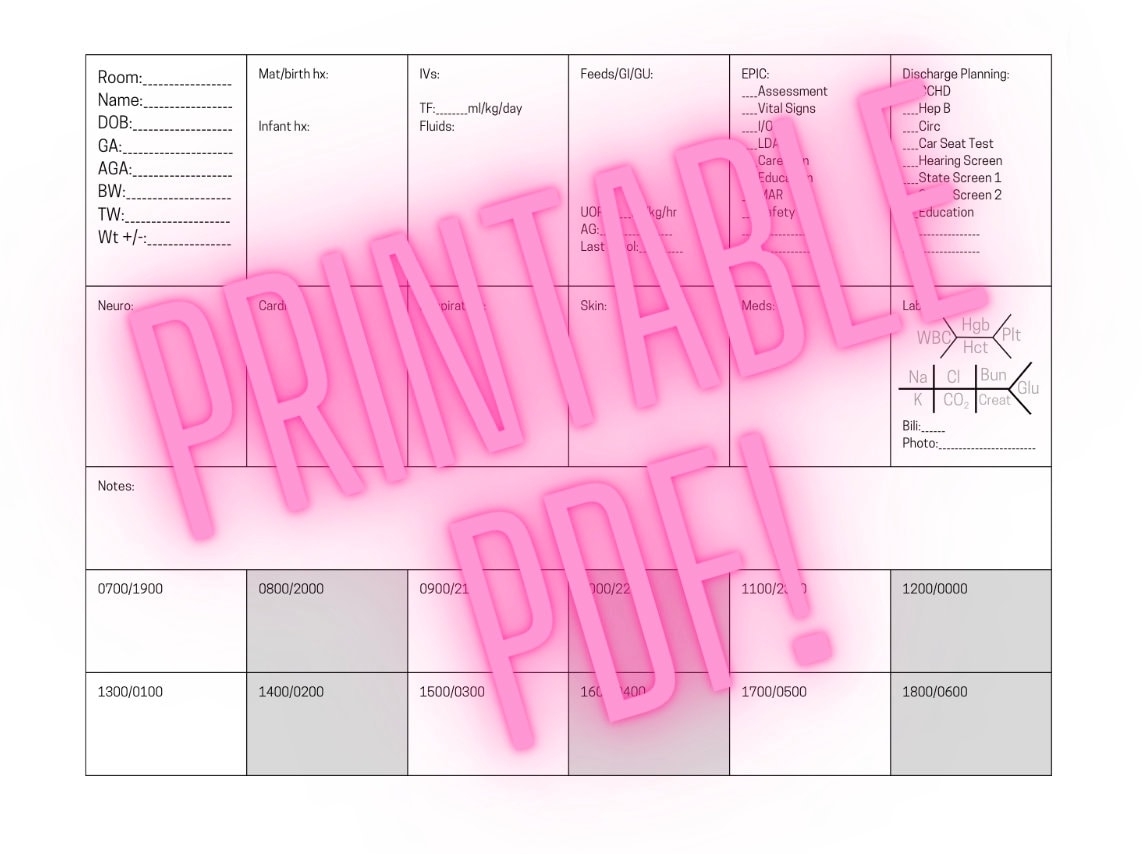 NICU Nurse Brain Report Sheet EPIC Charting Checklist Level 2 level 4 Etsy