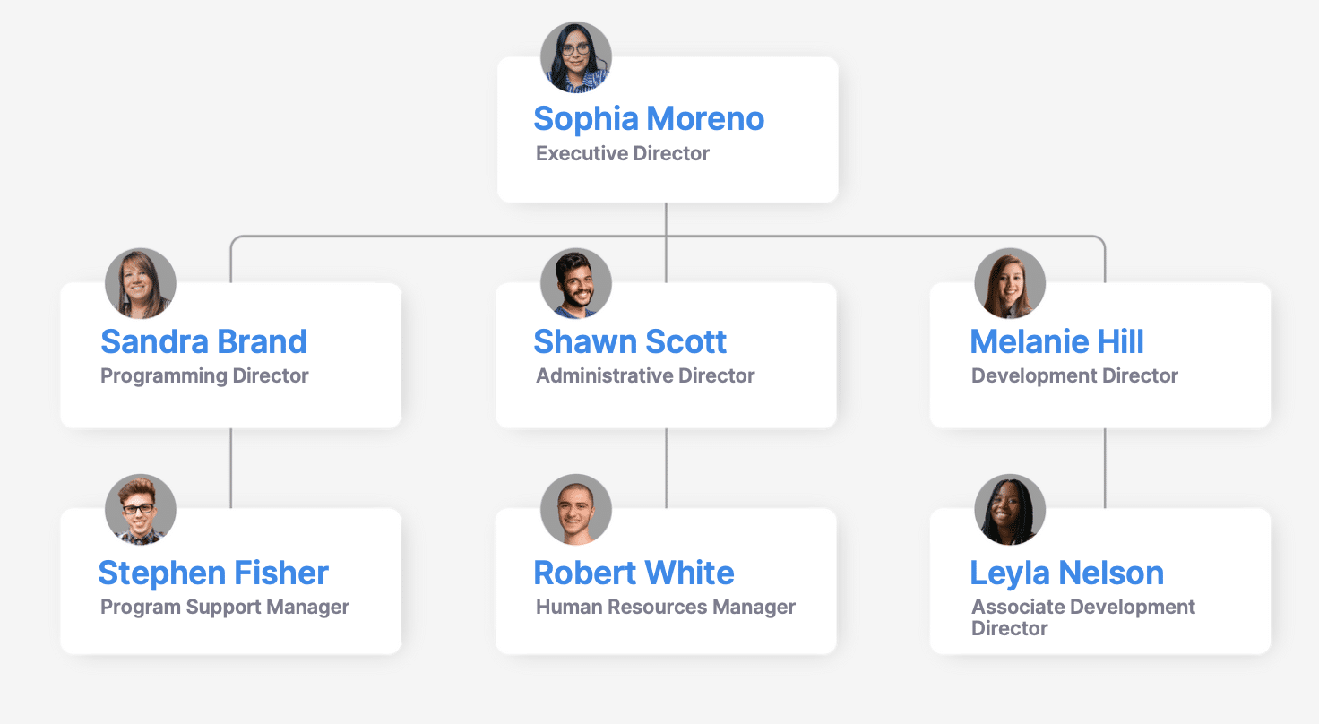 Nonprofit Organization Chart Template