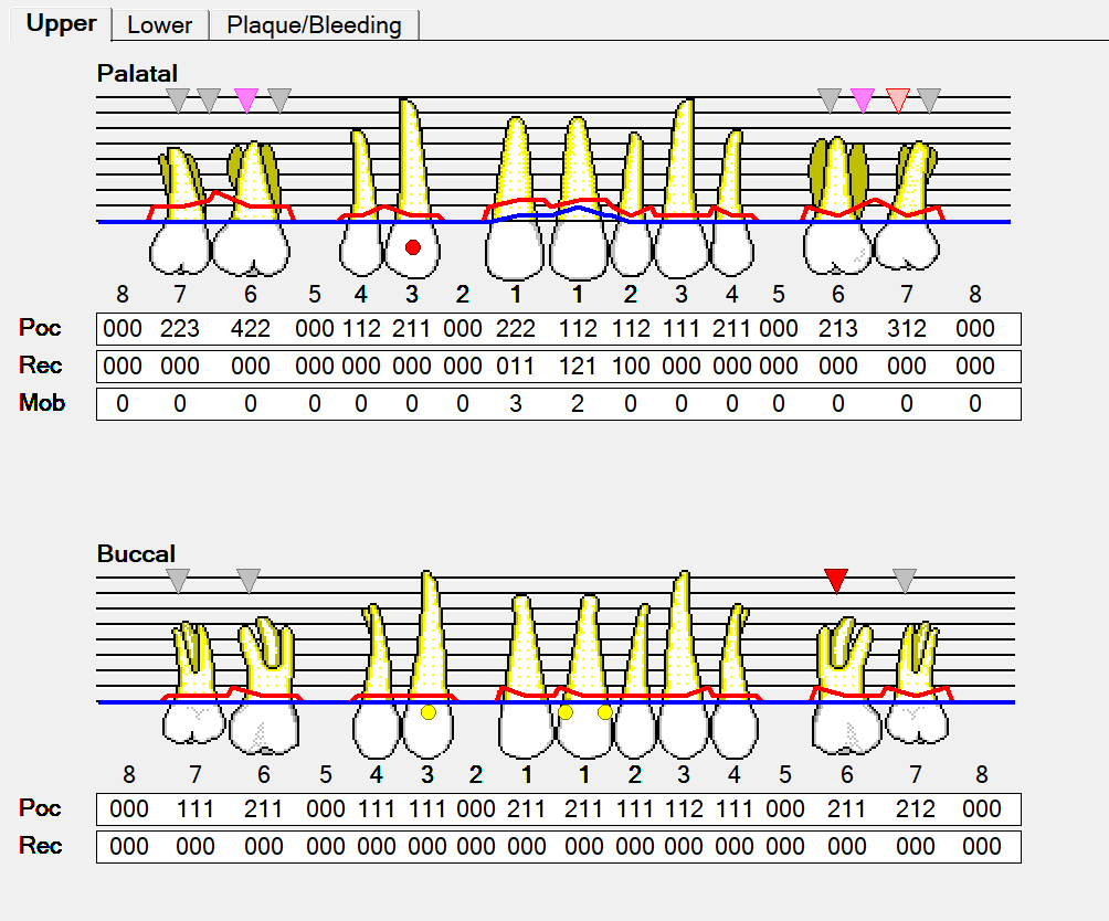 Perio Chart Template