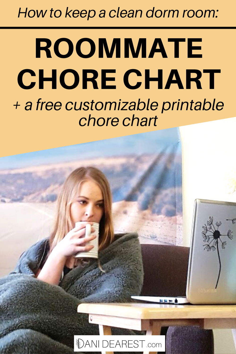 Roommate Chore Chart Template
